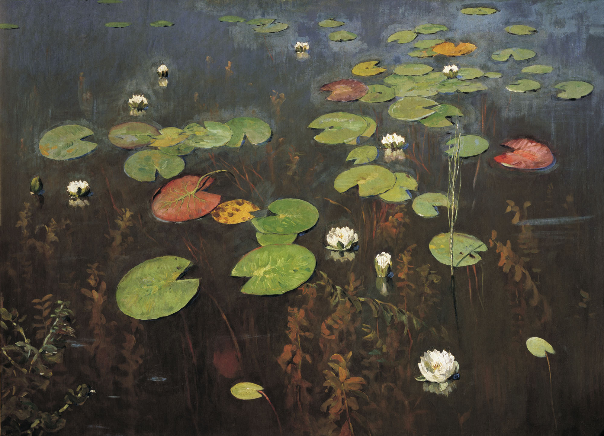 1895 Water lilies.jpg